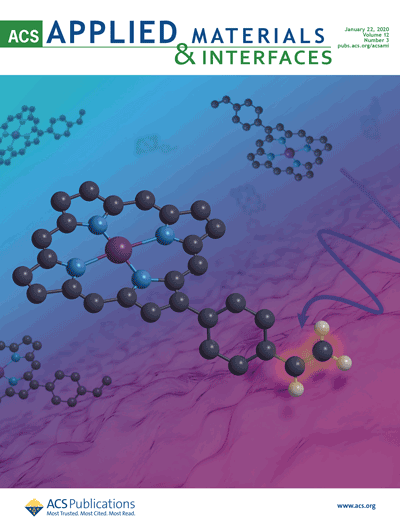 ACS Applied Materials & Interfaces
