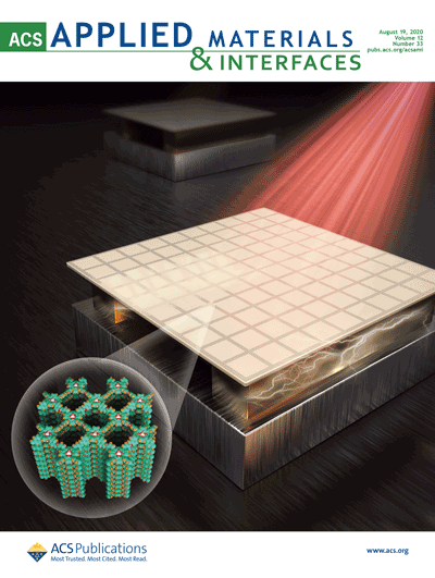 ACS Applied Materials & Interfaces